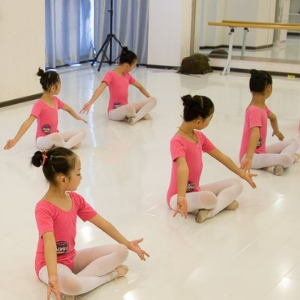 艺杨舞蹈培训加盟图片