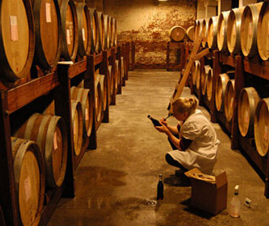 戴米隆系列葡萄酒加盟图片