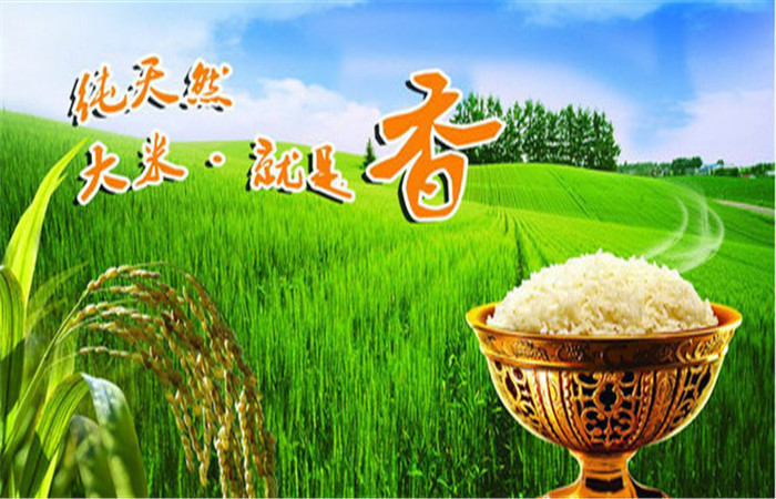 天灌米业加盟