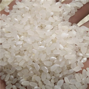 中稻稻米加盟图片