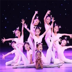 白孔雀舞蹈加盟图片