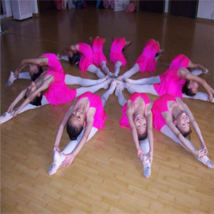 左马艺术舞蹈培训健身加盟图片
