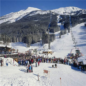 莲花山滑雪场加盟图片