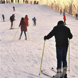 南山滑雪培训加盟图片