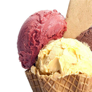 酸奶冰淇淋加盟案例图片