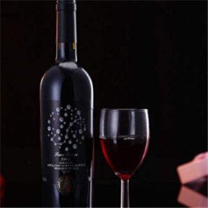 艾芬特法国红葡萄酒加盟实例图片