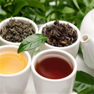 茶叶坦洋茶业加盟实例图片