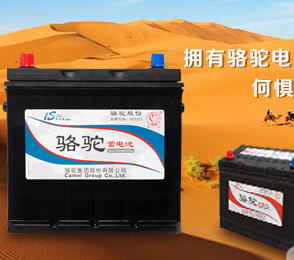 骆驼电池