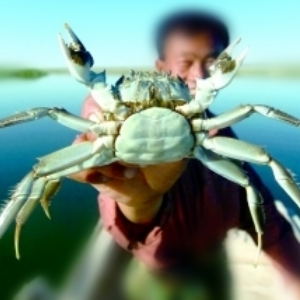 固城湖螃蟹加盟实例图片