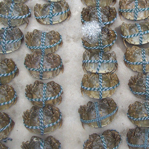 固城湖螃蟹加盟案例图片