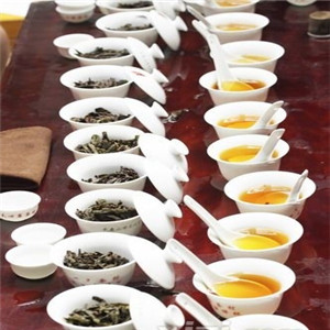 麻姑生态茶加盟案例图片