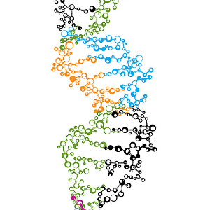 赛洛新生物基因加盟实例图片