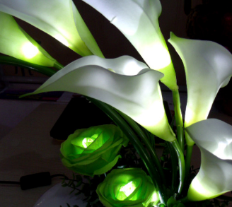 LED花艺灯饰加盟图片