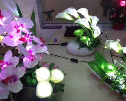 LED花艺灯饰加盟实例图片