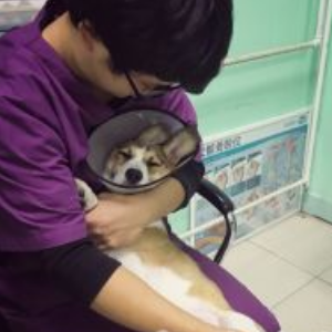 北京宠物医院加盟实例图片