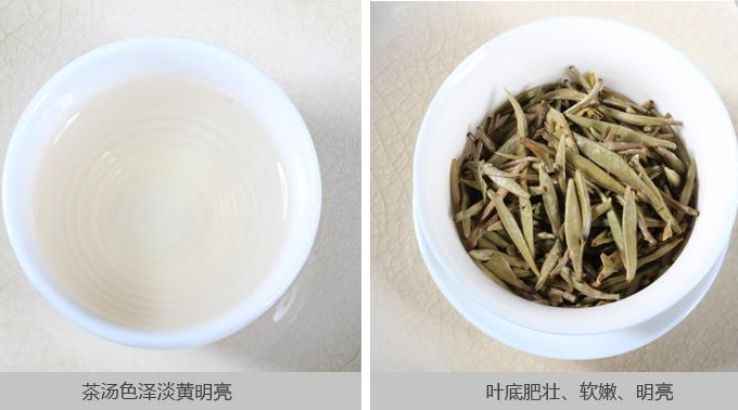 来一泡茶加盟