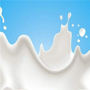 莱咔美驼奶加盟图片