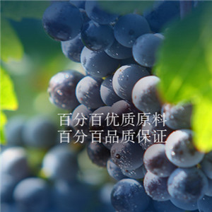 贺兰山葡萄酿酒加盟图片