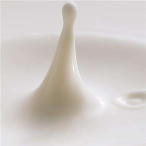 梁丰牛奶加盟图片