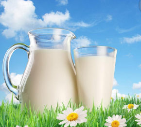 庄园牧场牛奶加盟案例图片
