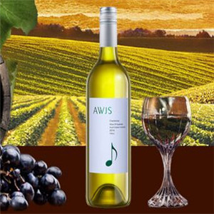 AWJS音符葡萄酒加盟图片