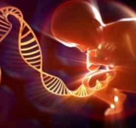 胎儿无创基因检测店面效果图