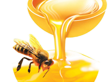 蜂之源蜂蜜加盟实例图片