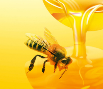山萃蜂蜜加盟实例图片