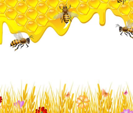 新疆伊犁黑蜂蜜加盟图片