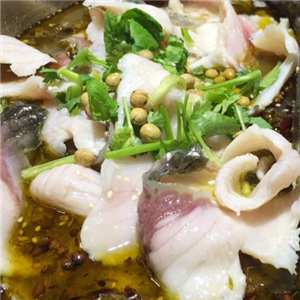 龙门石锅鱼加盟图片