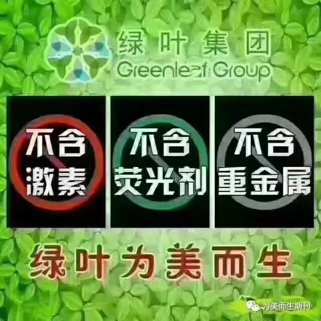 绿叶加盟图片5