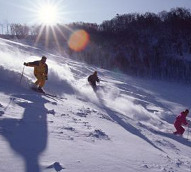 亚布力滑雪场加盟实例图片