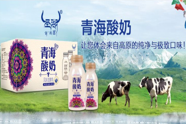 青海老酸奶产品