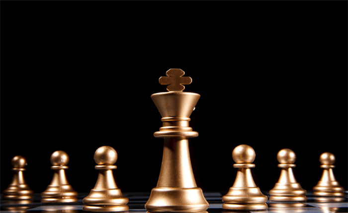 林峰国际象棋培训加盟