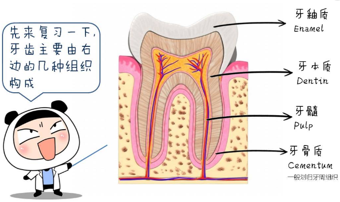 益齿膏加盟