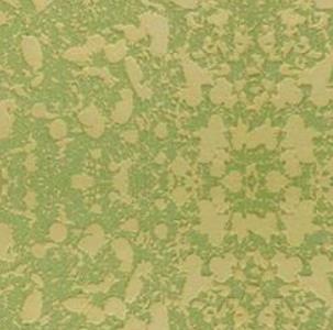 绿色硅藻泥加盟实例图片