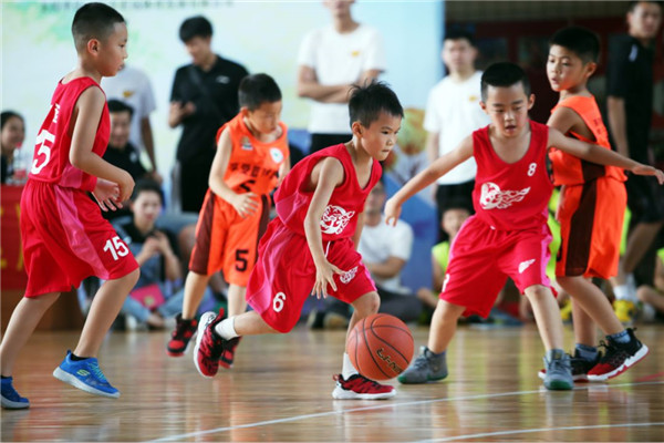 张卫平篮球训练营，教学质量可靠