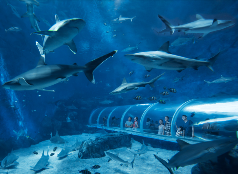 水族館加盟加盟