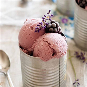 Berthillon冰淇淋加盟图片