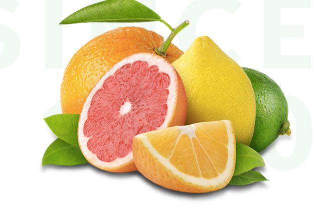 橘果子加盟