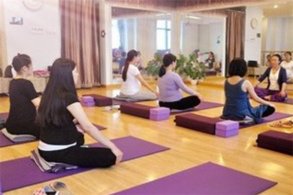 禅洲子午瑜伽教育加盟