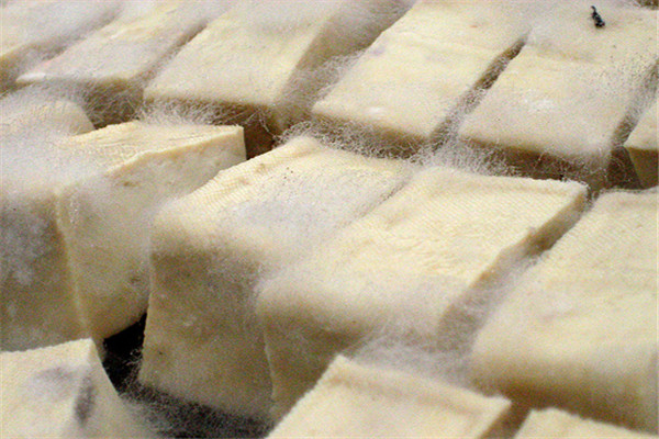 徽州毛豆腐含有益生菌成分