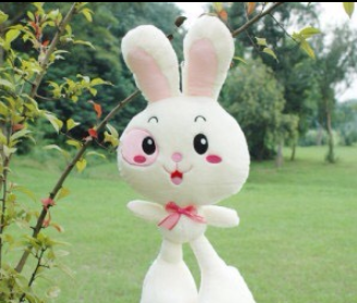 兔娃娃加盟实例图片