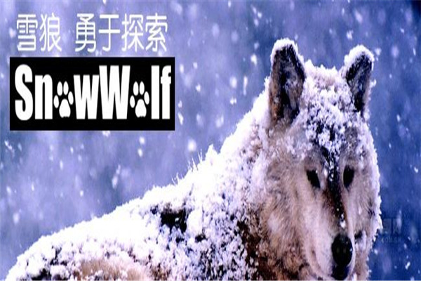 snowwolf加盟