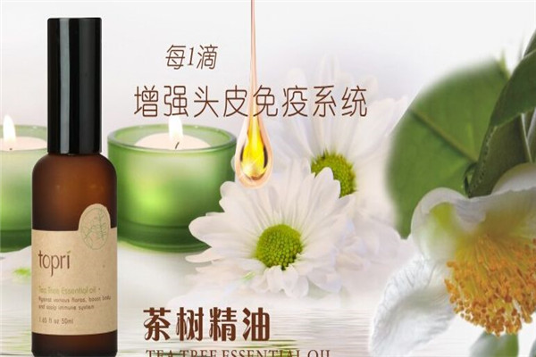 头等大事畅销产品——茶树精油 头等大事畅销产品——茶树精油