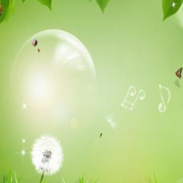 E洁绿色环保加盟实例图片