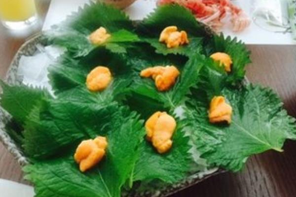 芥末日本料理加盟