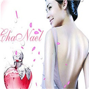 香娜尔加盟图片