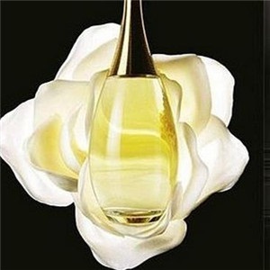 香娜尔店面效果图