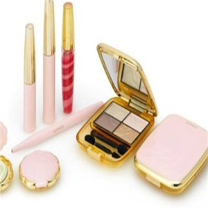 天娜彩妆加盟图片